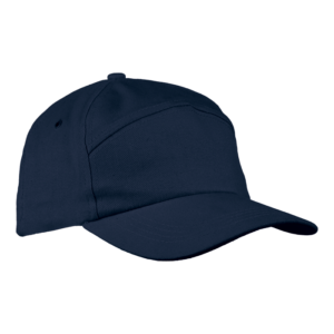 6 Panel Carbon Cap