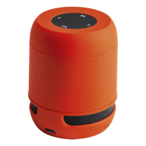 Braiss Bluetooth Speaker
