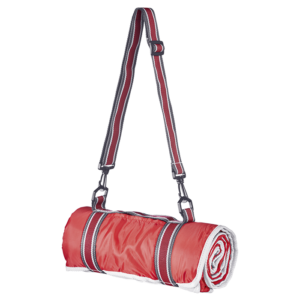 Master Picnic Blanket