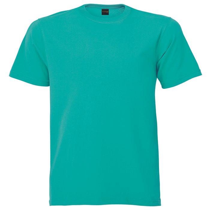 160g Barron Crew Neck T-Shirt (TST160B) - Image 19