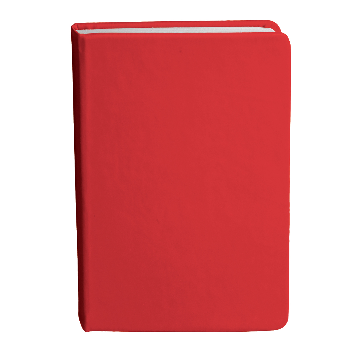 Bingham Notebook - Image 26