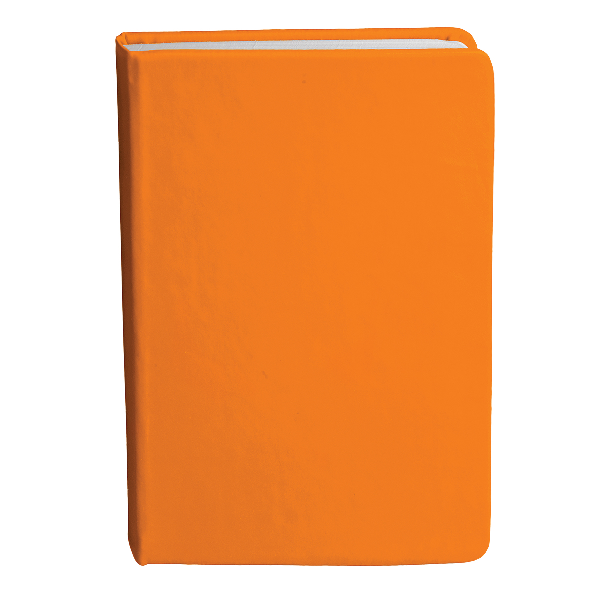 Bingham Notebook - Image 23