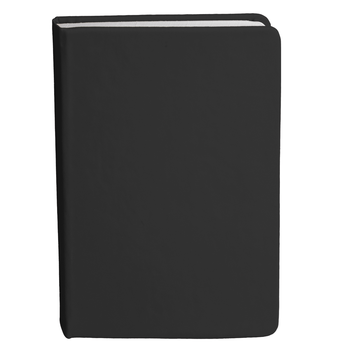 Bingham Notebook - Image 22