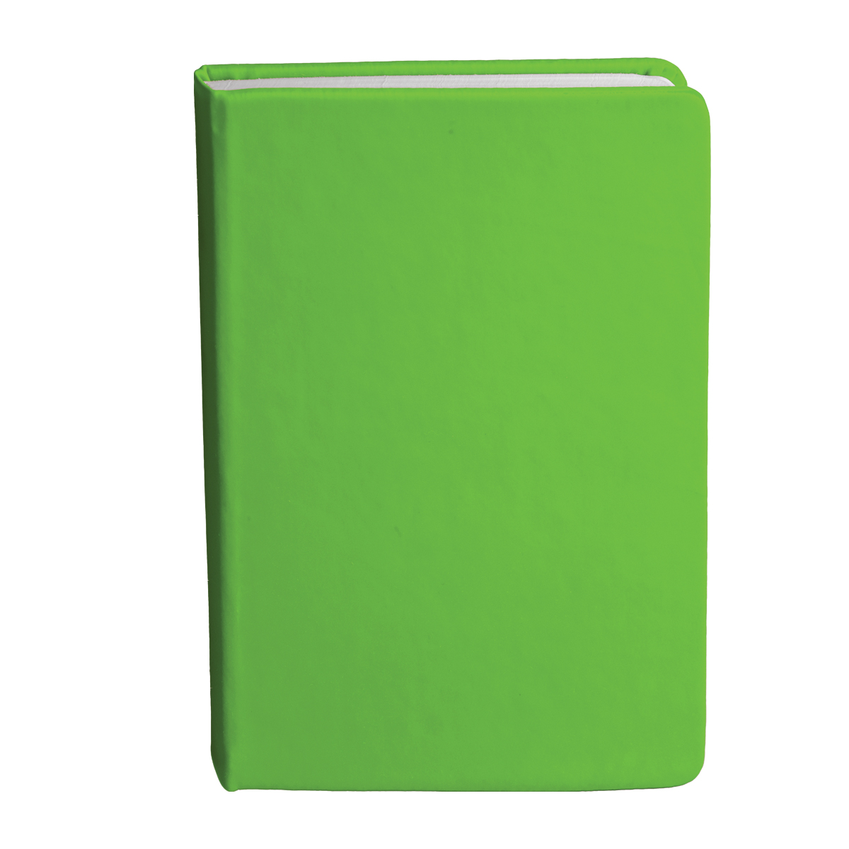 Bingham Notebook - Image 17