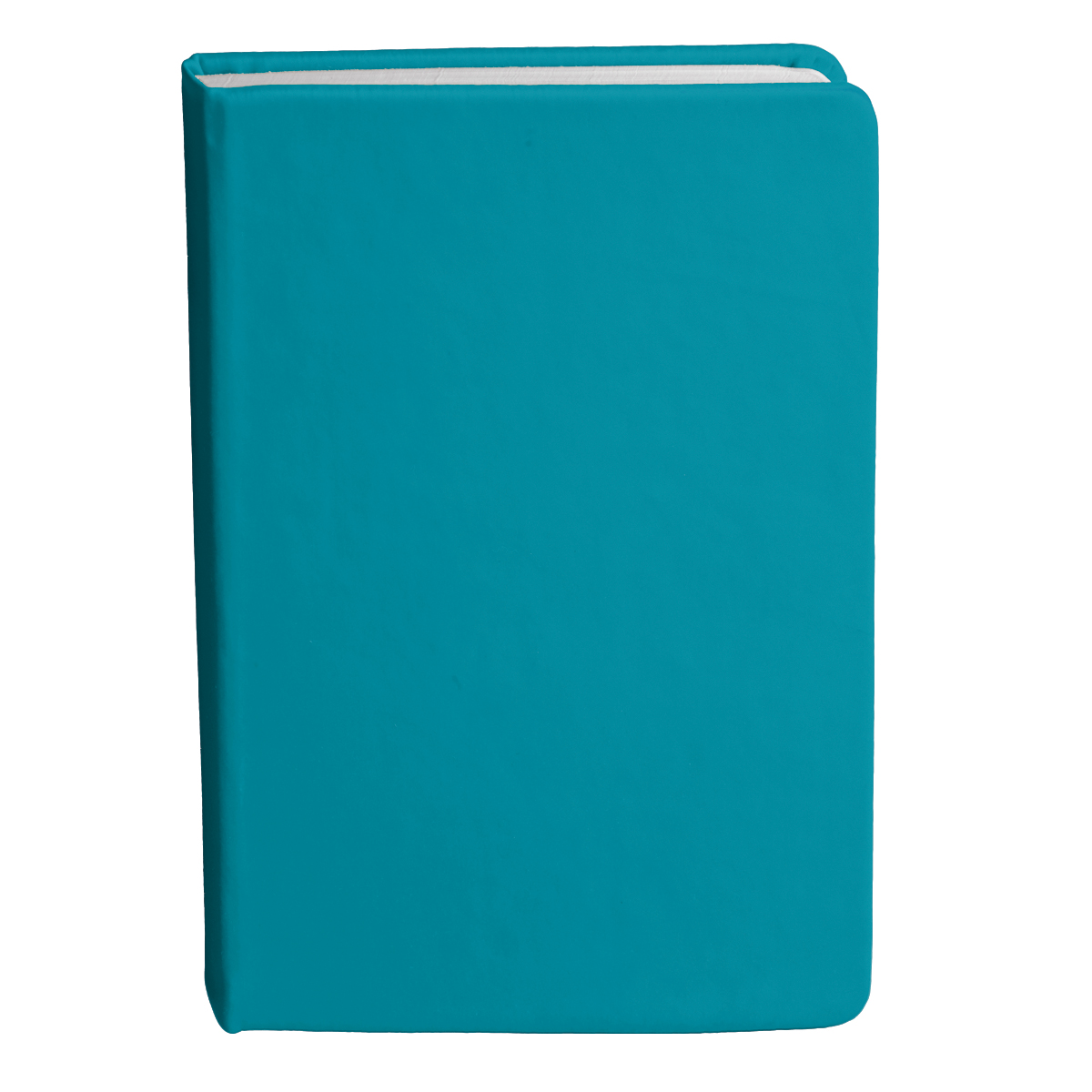 Bingham Notebook - Image 19