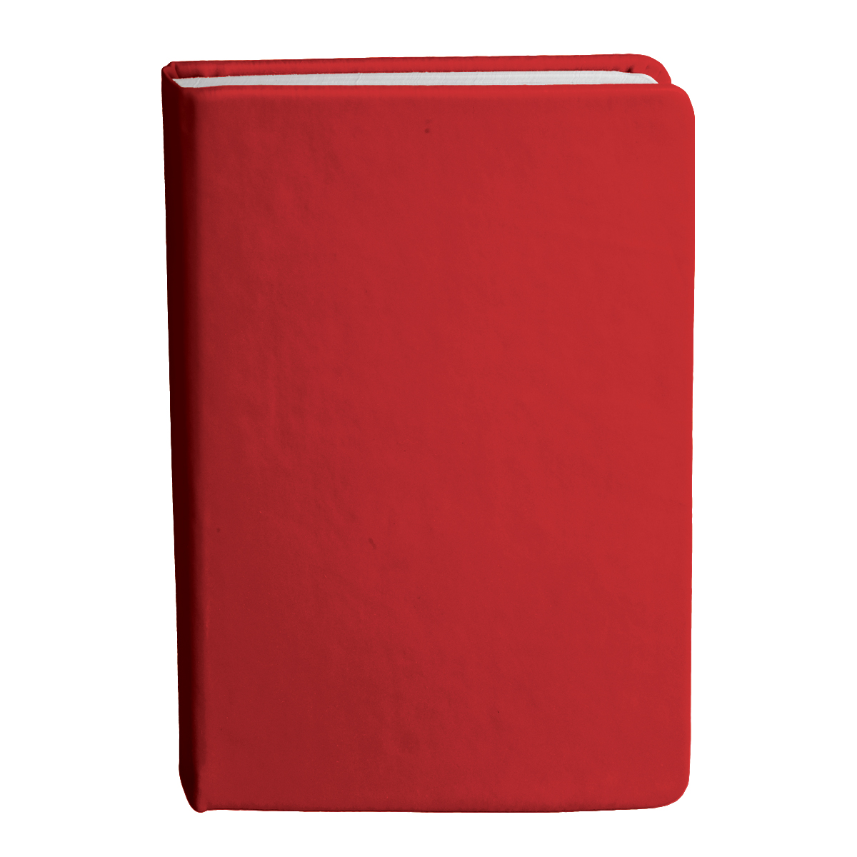 Bingham Notebook - Image 18