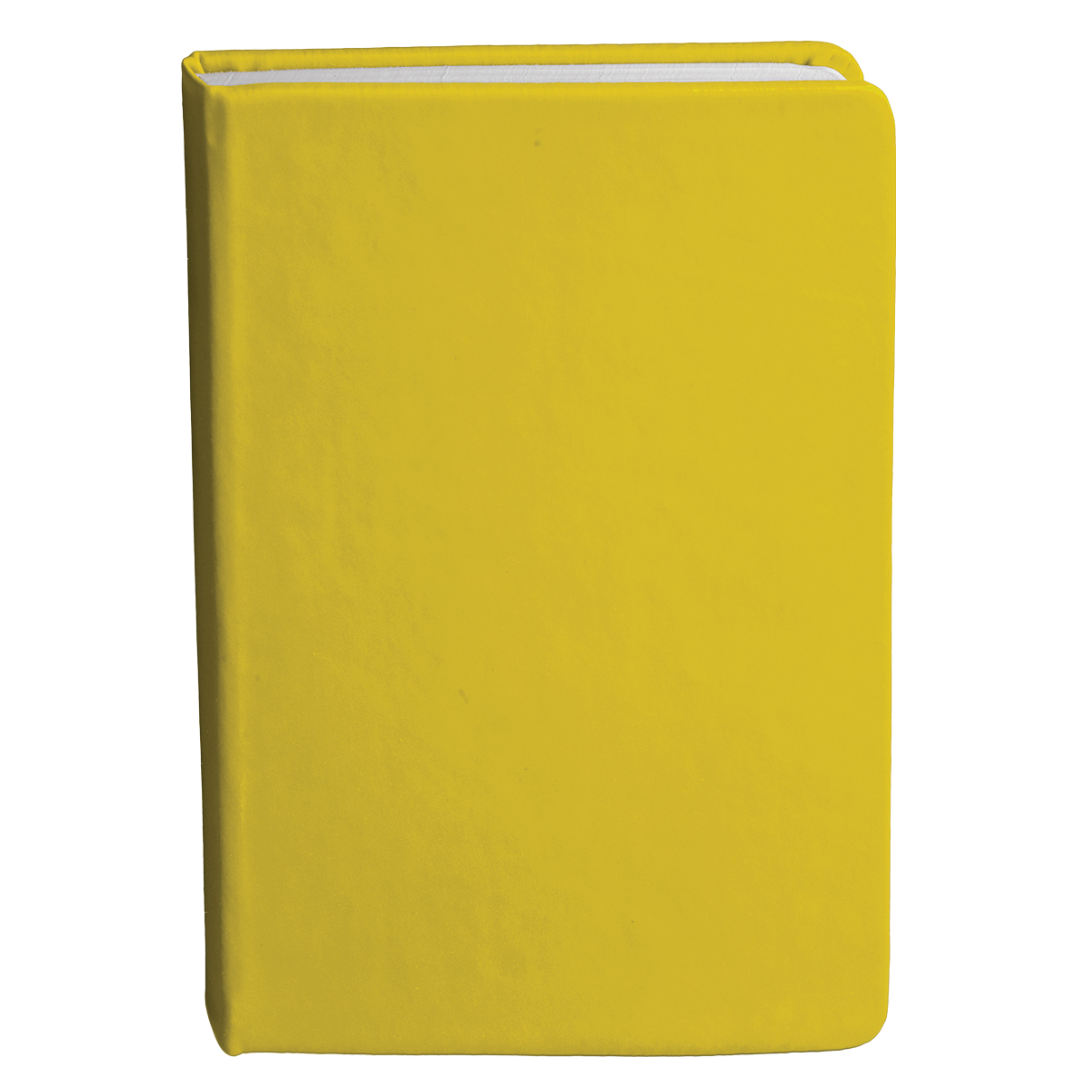 Bingham Notebook - Image 21