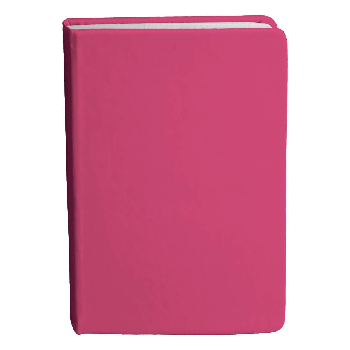 Bingham Notebook - Image 24