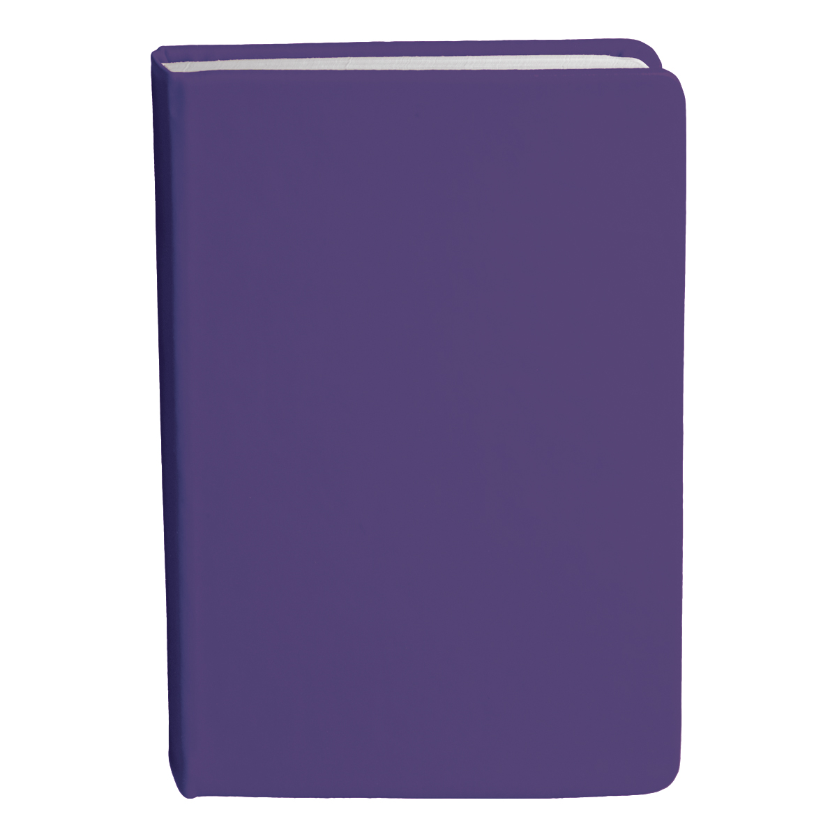 Bingham Notebook - Image 25