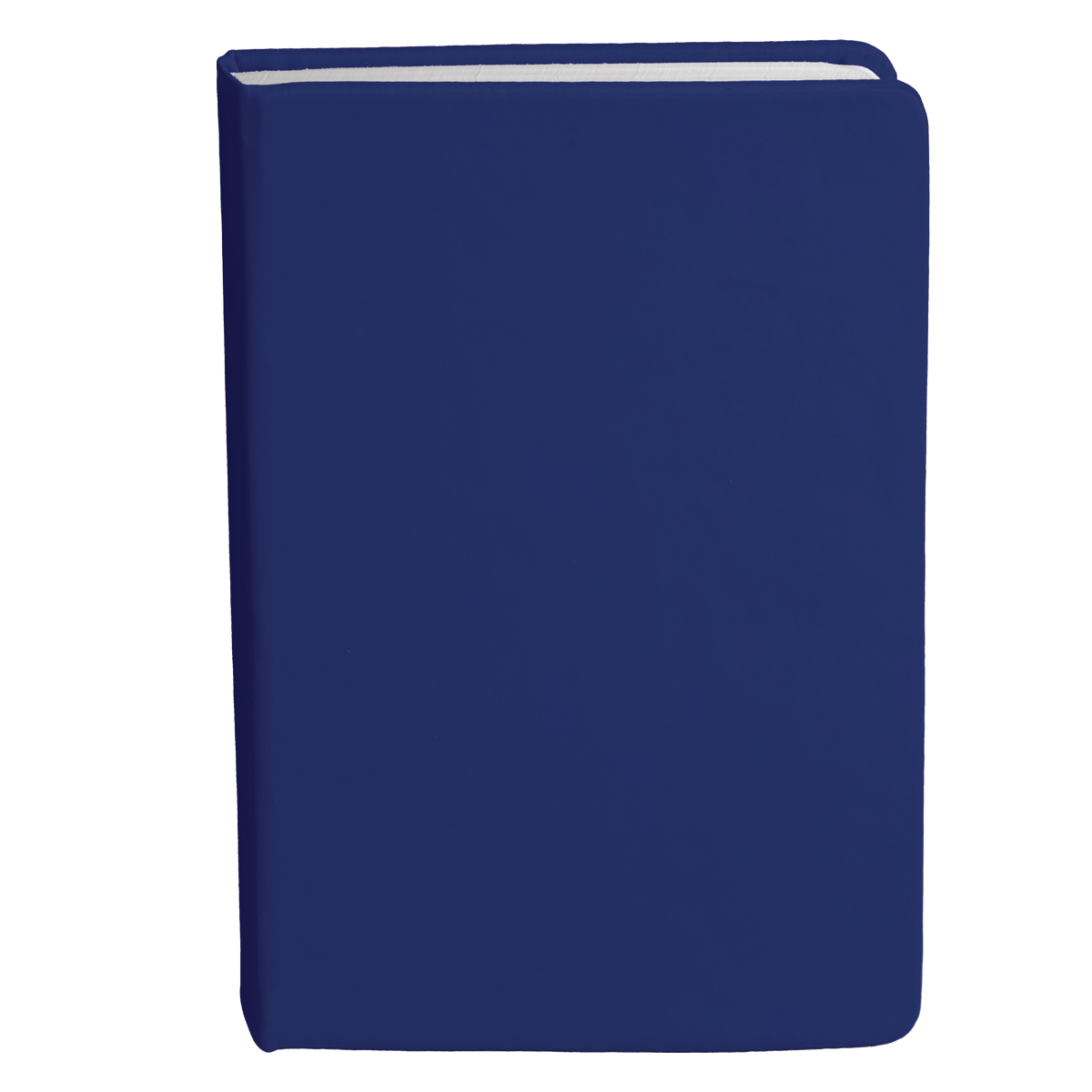 Bingham Notebook - Image 15